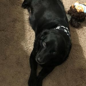 Meet your Posher, Kellie